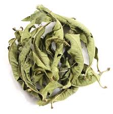 Verveine