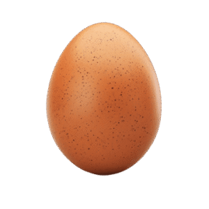 Oeuf